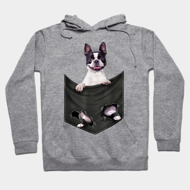 Boston Terrier Dog In Pocket Hoodie by Xamgi